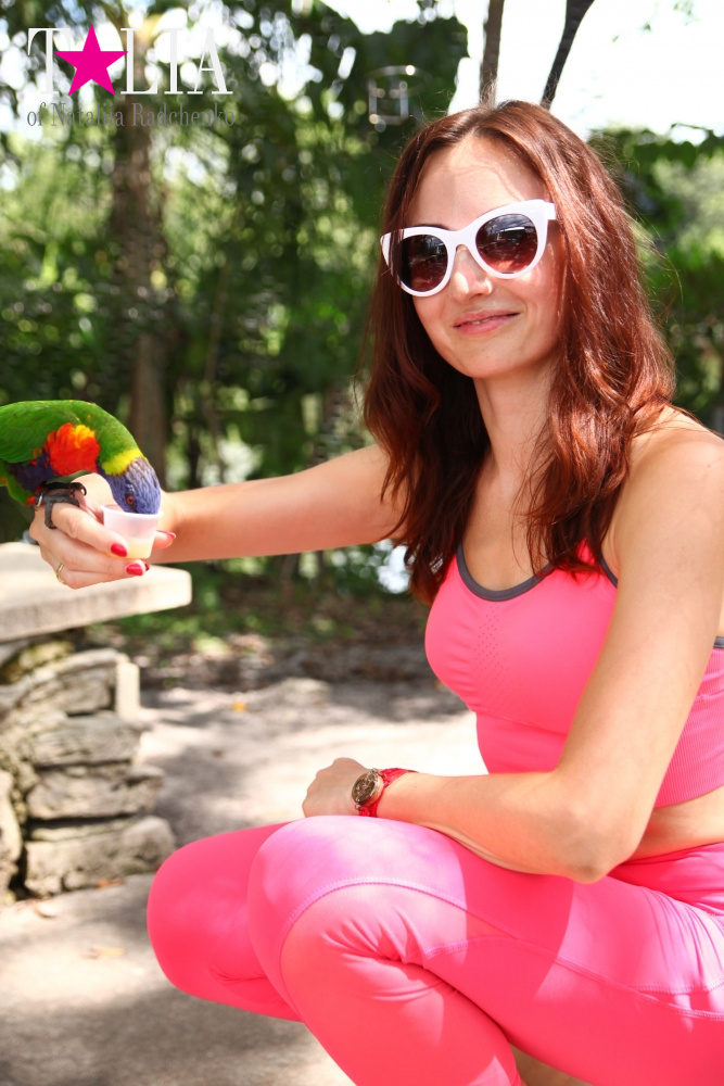 Кормление попугаев в сафари-парке Страна Львов, Майами, Флорида